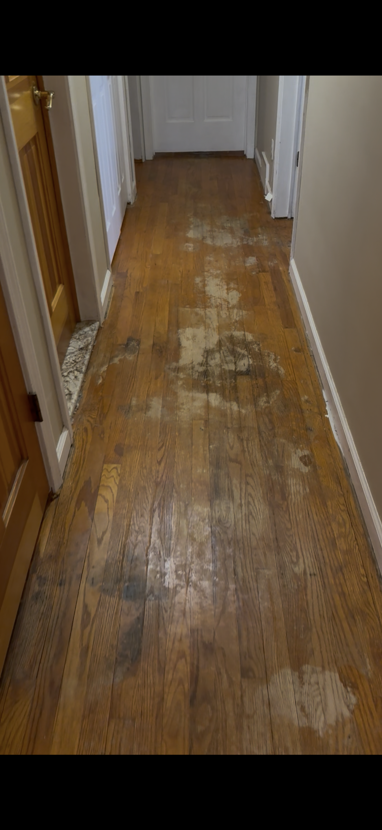 Before - Hardwood Refinish